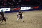 Quadrille - 00312